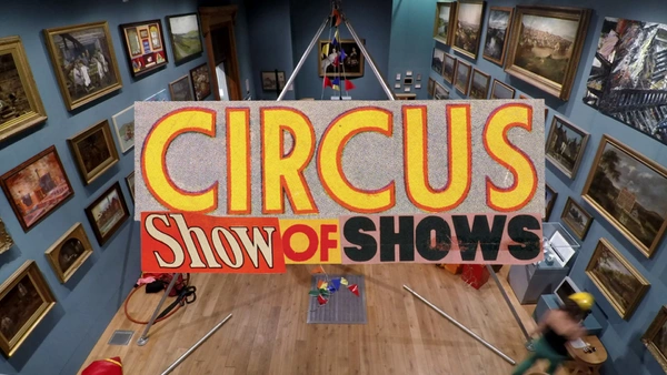 Circus Live Stream